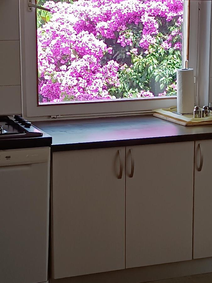 Apartments Sirius コルチュラ エクステリア 写真